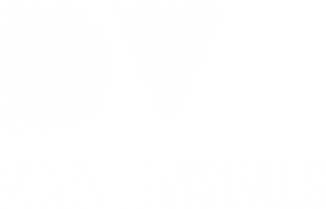 Dv
