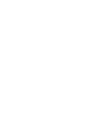 Vector 1 (1)